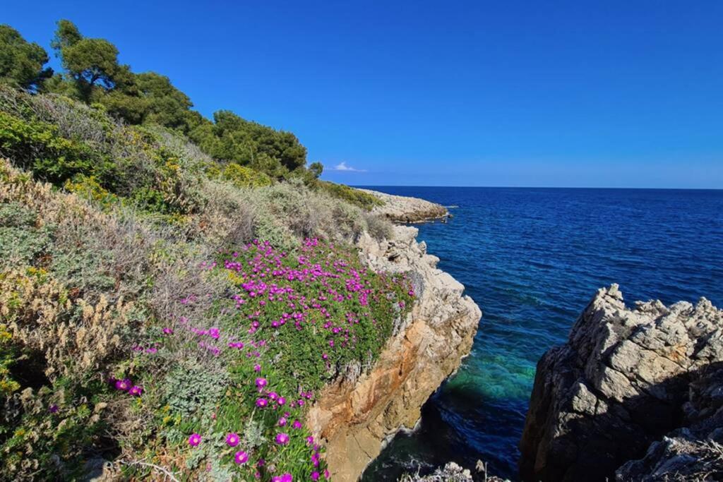 Casalionelantibes 70 Sqm Apartment With Garden And Parking מראה חיצוני תמונה