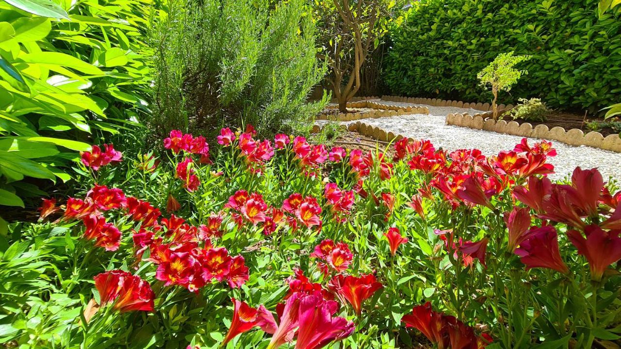 Casalionelantibes 70 Sqm Apartment With Garden And Parking מראה חיצוני תמונה