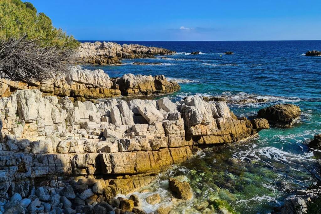 Casalionelantibes 70 Sqm Apartment With Garden And Parking מראה חיצוני תמונה