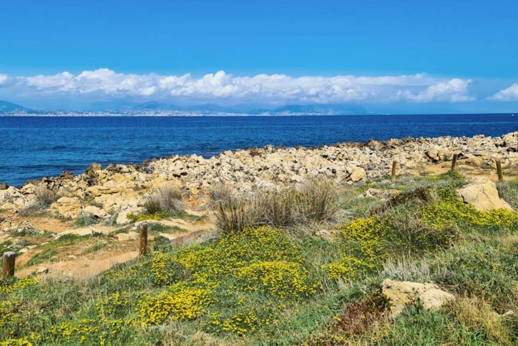 Casalionelantibes 70 Sqm Apartment With Garden And Parking מראה חיצוני תמונה